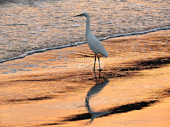 Avila Beach Sunset, 2014