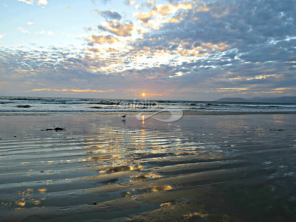 Pismo Beach Sunset IV