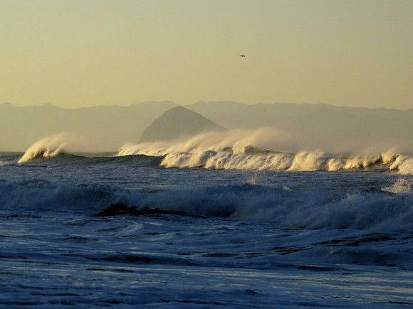 Cayucos Morning