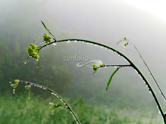 First Day of Spring in San Luis Obispo: March 20, 2016