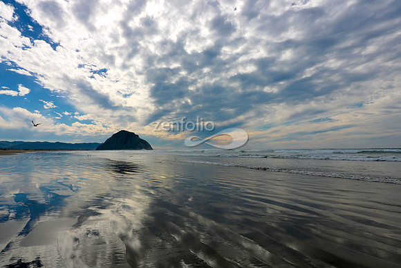 Morro Bay IV