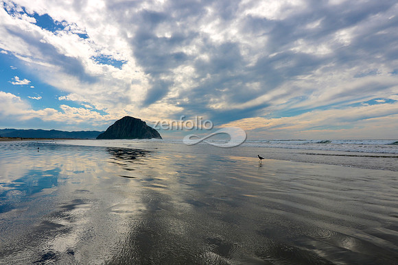 Morro Bay V
