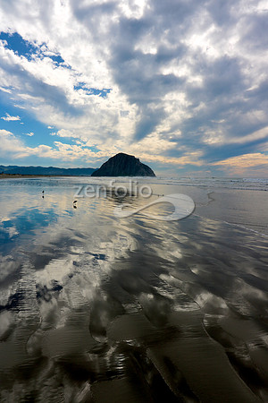 Morro Bay VI