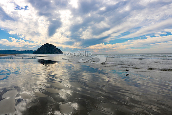 Morro Bay XI