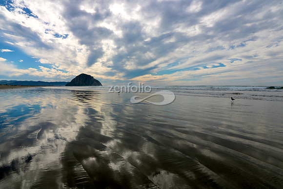 Morro Bay IX