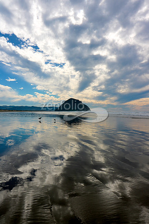 Morro Bay XIII