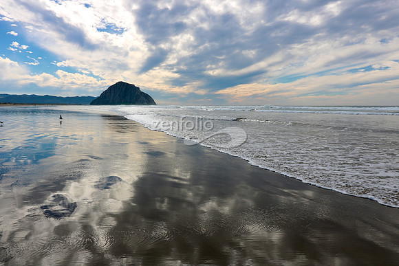 Morro Bay XVI