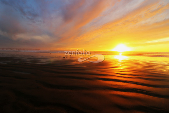 Pismo Beach II