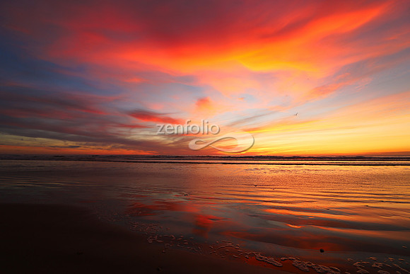Pismo Beach 11