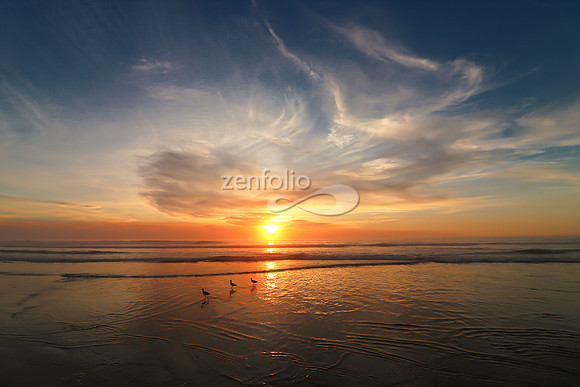 Sunset 8
