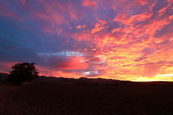 Sunrise 2
