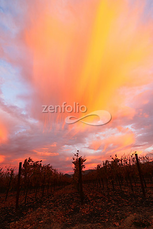 Sunrise 7