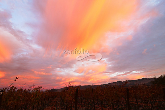 Sunrise 8
