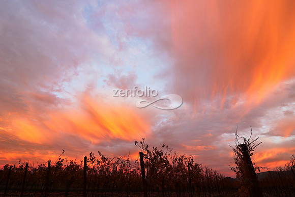 Sunrise 9