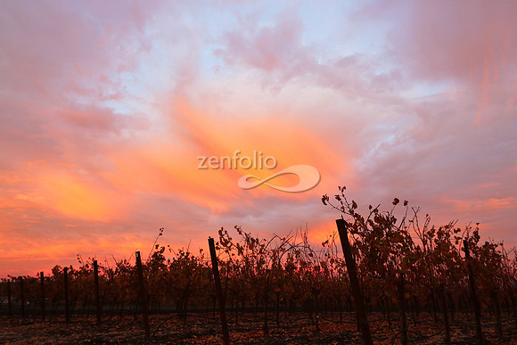 Sunrise 10