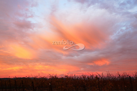 Sunrise 11