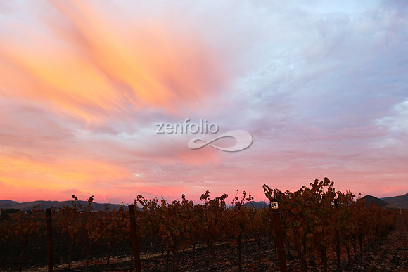 Sunrise 12