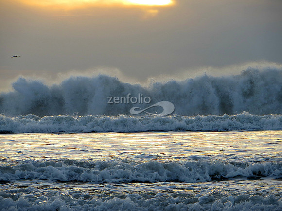 Sunlight Splash