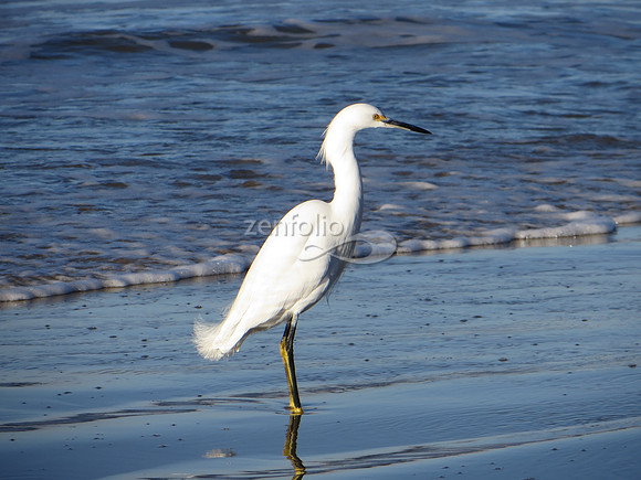 Pismo Beach, December 24, 2013