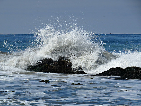 Splash XI. 8-16-2014