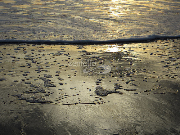 I. Shell Beach, Winter 2014