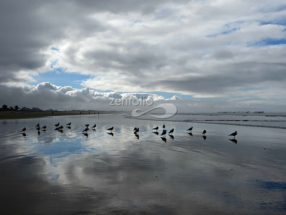 Pismo Beach Morning, 2014